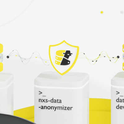 nxs-data-anonymizer для анонимизации баз данных