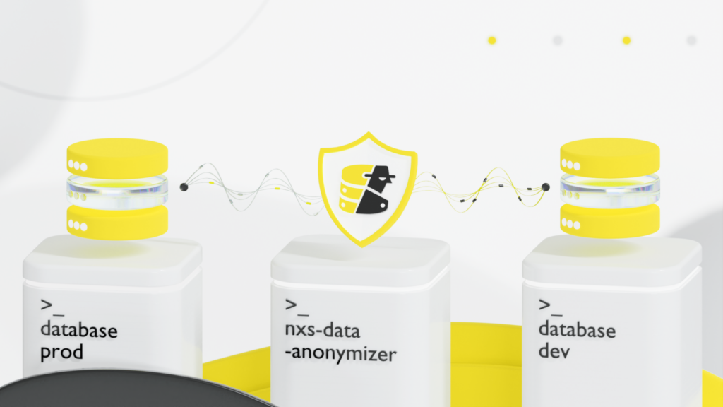 Схематичное изображение принципа работы анонимайзера nxs-data-anonymizer